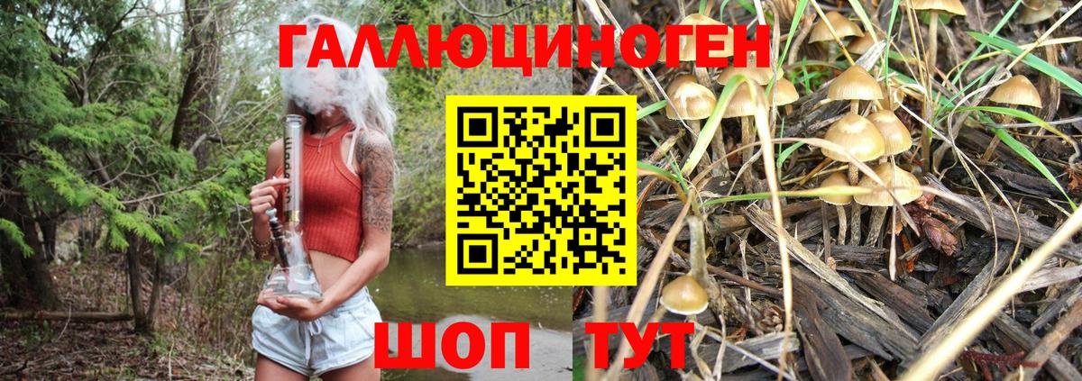 Псилоцибиновые грибы ЛСД Искитим
