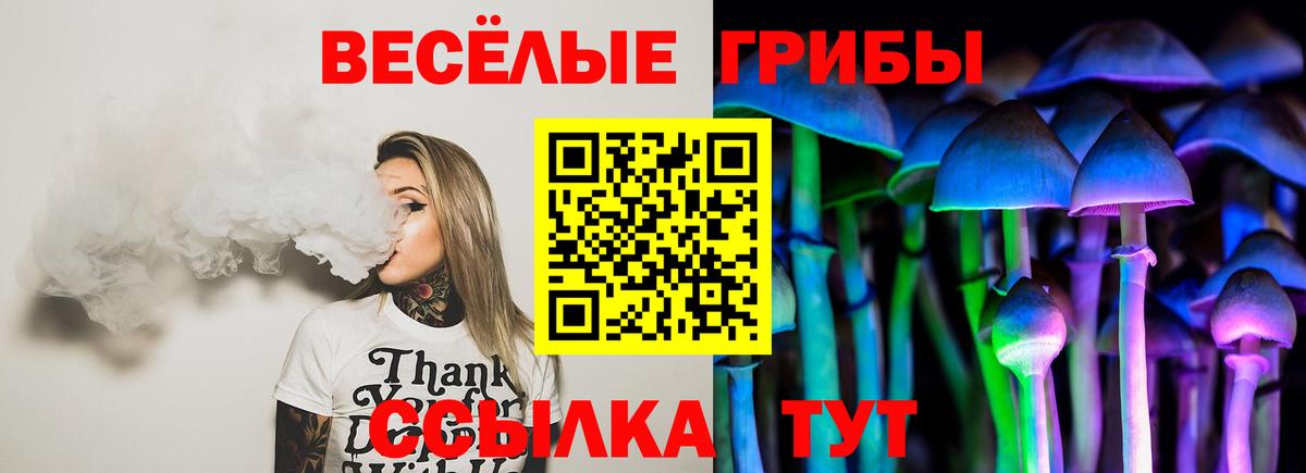 Галлюциногенные грибы мухоморы  Галлюциногенные грибы Cubensis  Вход с VPN  продажа наркотиков  Искитим 